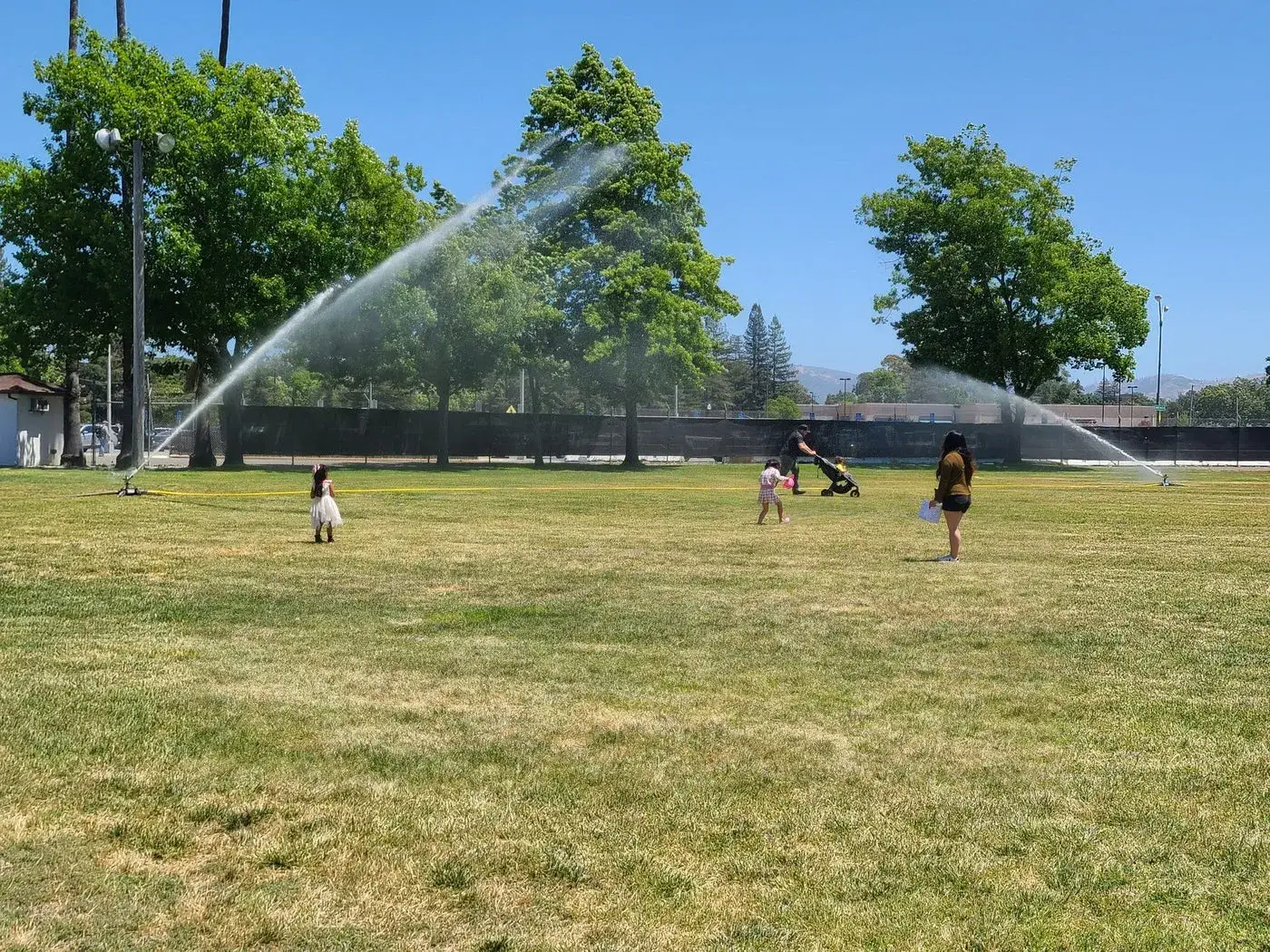 Two FireBozz cannons throwing long arcs of water across a city park